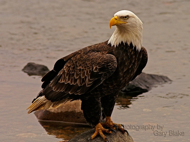 10172012094318adj.jpg