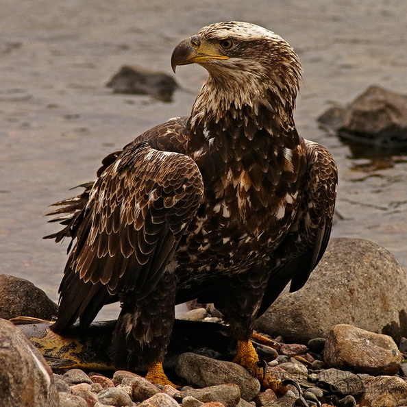 10172012151930adj.jpg